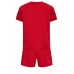 Maillot de foot Danemark Domicile vêtements enfant Monde 2022 Manches Courtes (+ pantalon court)